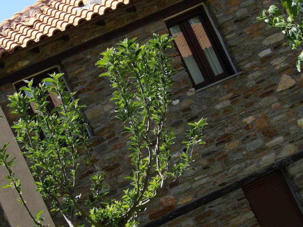 Guesthouse Rodamos Taxiarkhis  Exterior foto